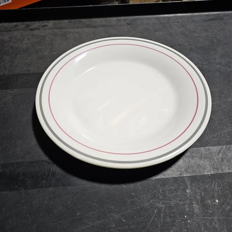 Aladdin Temp-Rite Alacite 9" Mauve/Grey Ceramic Plate (12-Pack) – Final Sale 1