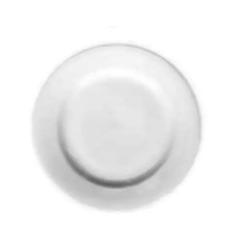 Corby Hall Synergy Small Rimmed Plate – 6.25", Commercial Grade (36-Pack) 1