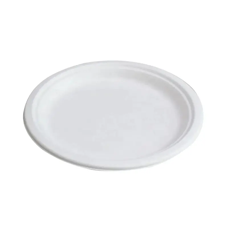 Globe Sugarcane Compostable Plates – White, 1000-Count Eco Dinnerware 1