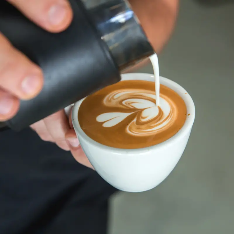Hands-On Latte Art Workshop For Beginners 1