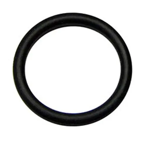 Server Condiment Pump O-Ring – 1-Inch Diameter Silicone Seal 1