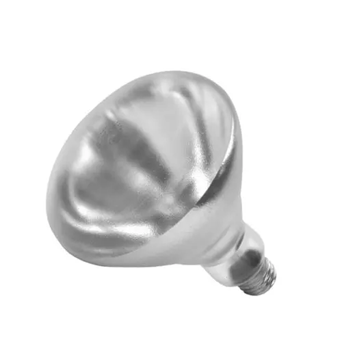 Shat-R-Shield R40 Shatter-Resistant Incandescent Bulb – 250W 1