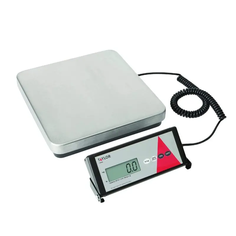 Taylor Te150 Heavy-Duty Receiving Scale – 150 Lb Capacity 1