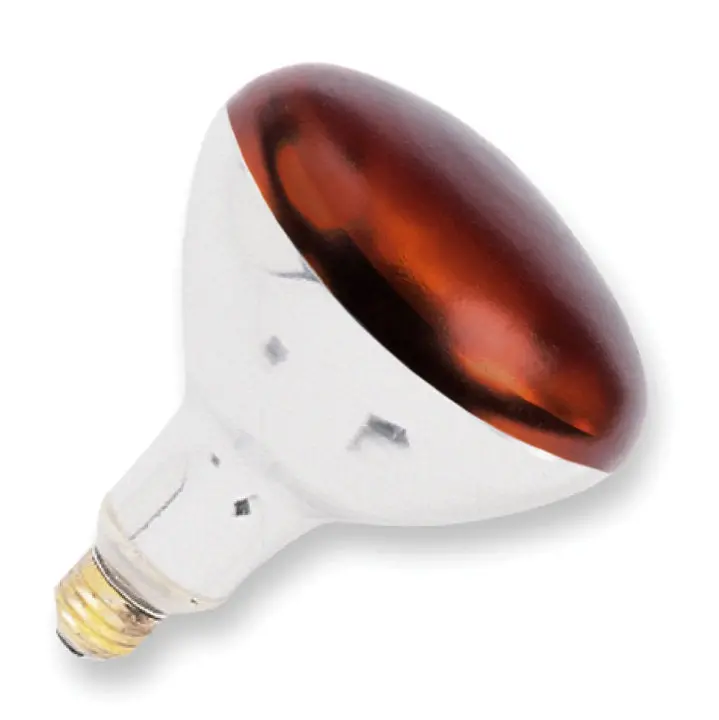 Vollrath 250-Watt Infrared Heat Lamp Bulb 1