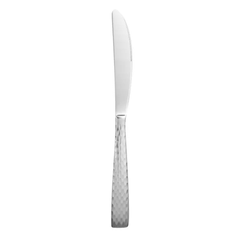 Wti 931-5921 Stainless Steel Dinner Knife – 9.5 Inches, Case Of 12 1