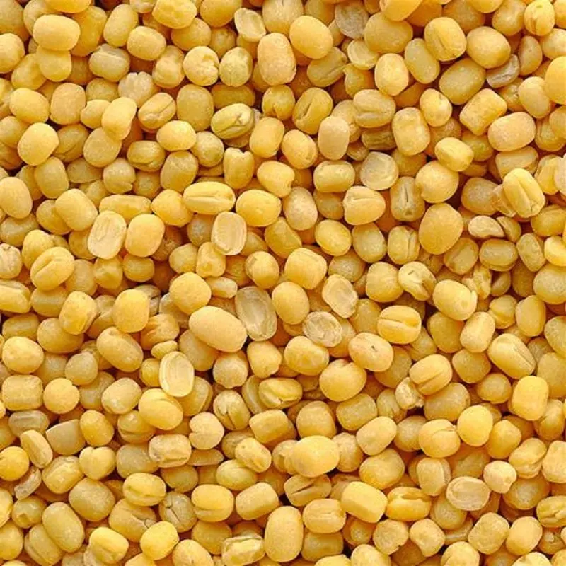 Yellow Moong Dal – Peeled & Split For Quick Cooking 1
